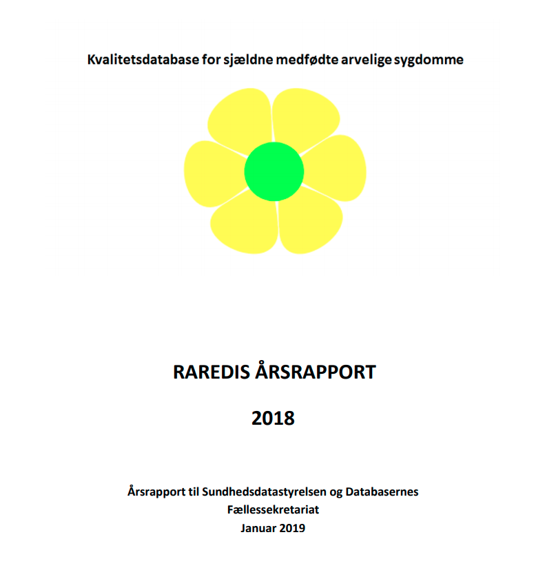arsrapport-2018